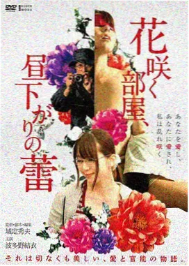 南方来客 文艺电影海报